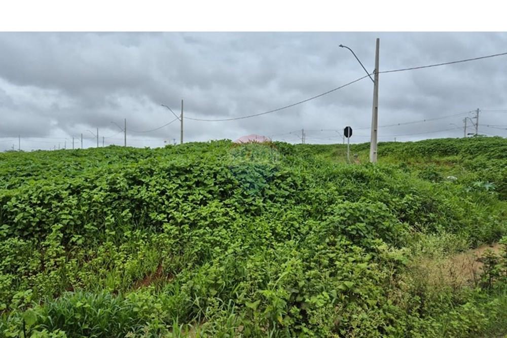 Terreno - Venda - Araxá , Minas Gerais - RODRIGO 5.jpeg - 870431054-10