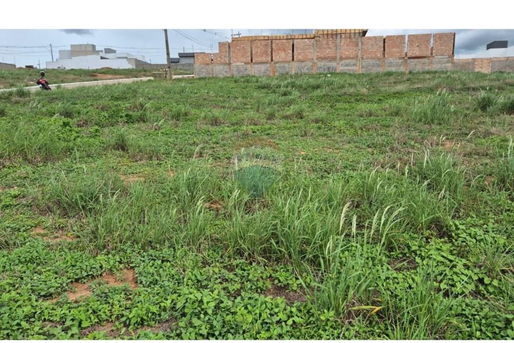 Terreno - Venda - Araxá , Minas Gerais - RODRIGO 11.jpeg - Quintal - 870431054-9