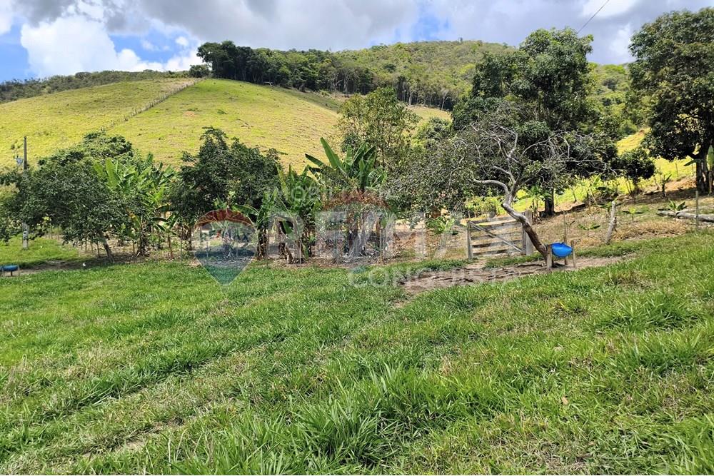 Chácara / Sítio / Fazenda - Venda - Taparuba , Minas Gerais - 6_image_6_watermark_sex._19122025_102212.jpg - 870451001-158