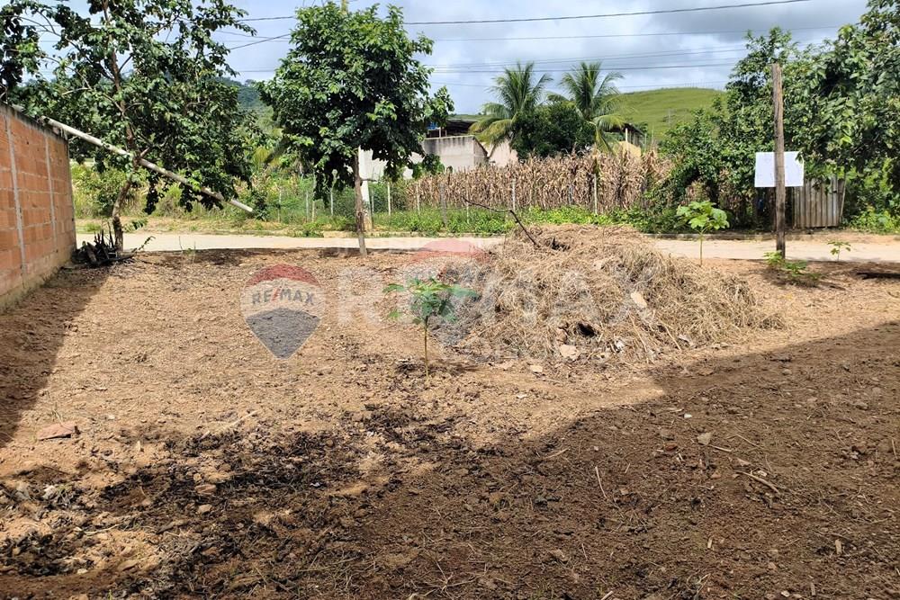 Terreno - Venda - Ipanema , Minas Gerais - 3_image_3_watermark_seg._09032026_105926.jpg - 870451004-120