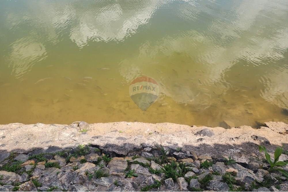 Chácara / Sítio / Fazenda - Venda - Contagem , Minas Gerais - FOTO21.jpg - Piscina - 870241112-48