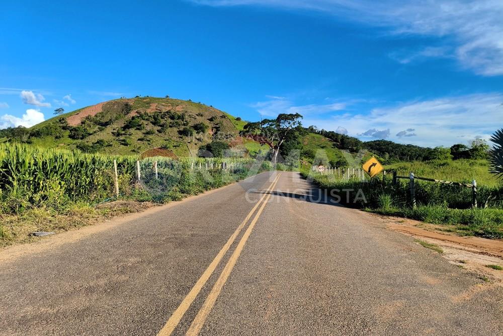 Chácara / Sítio / Fazenda - Venda - Conceição de Ipanema , Minas Gerais - 6_image_6_watermark_dom._11012026_131610.jpg - 870451004-113