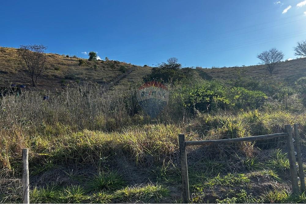 Chácara / Sítio / Fazenda - Venda - Governador Valadares , Minas Gerais - IMG_3014.jpg - 870671001-156