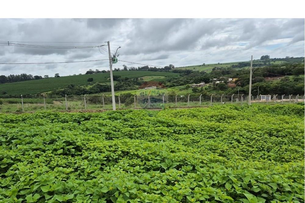 Terreno - Venda - Araxá , Minas Gerais - RODRIGO 10.jpeg - 870431054-10