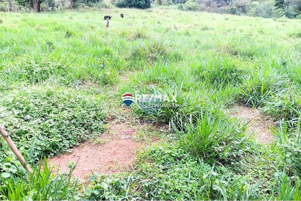 Terreno - Venda - Taparuba , Minas Gerais - 9_image_9_watermark_sex._02052025_102528.jpg - 870451001-127