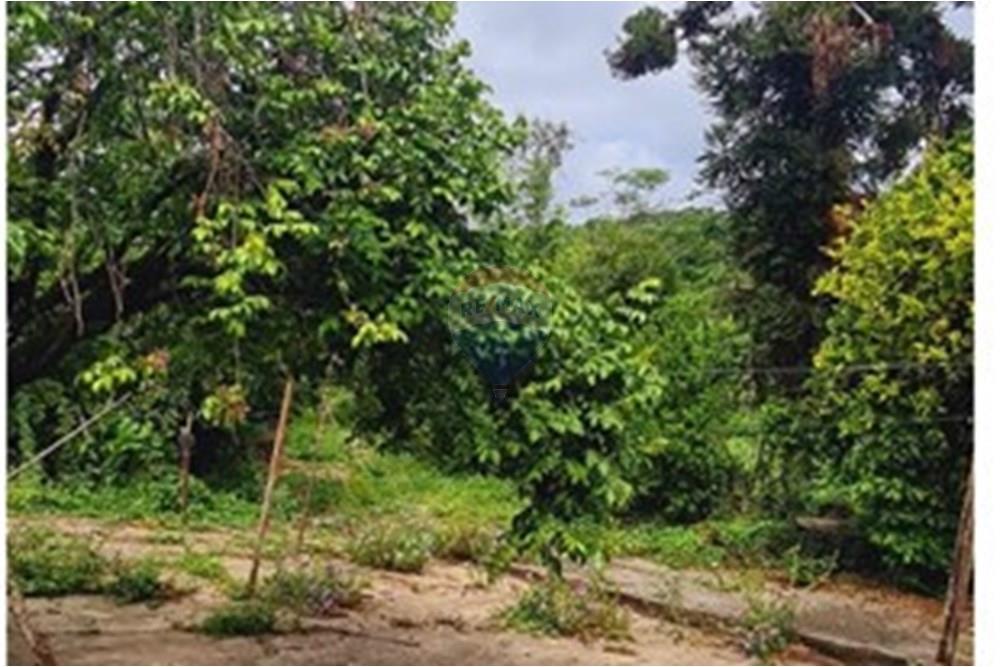 Fazenda - Venda - Pedro Leopoldo , Minas Gerais - WhatsApp Image 2025-12-11 at 15.18.38 (1).jpeg - 870411117-34