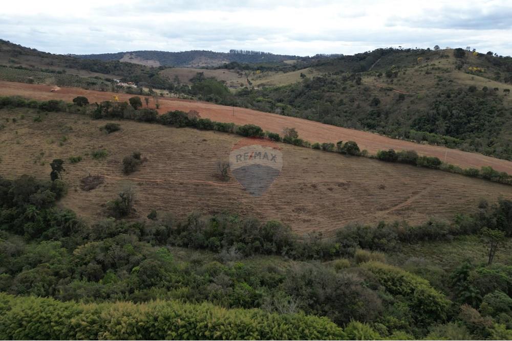 Chácara / Sítio / Fazenda - Venda - Três Corações , Minas Gerais - DJI_0027.JPG - 870361041-120
