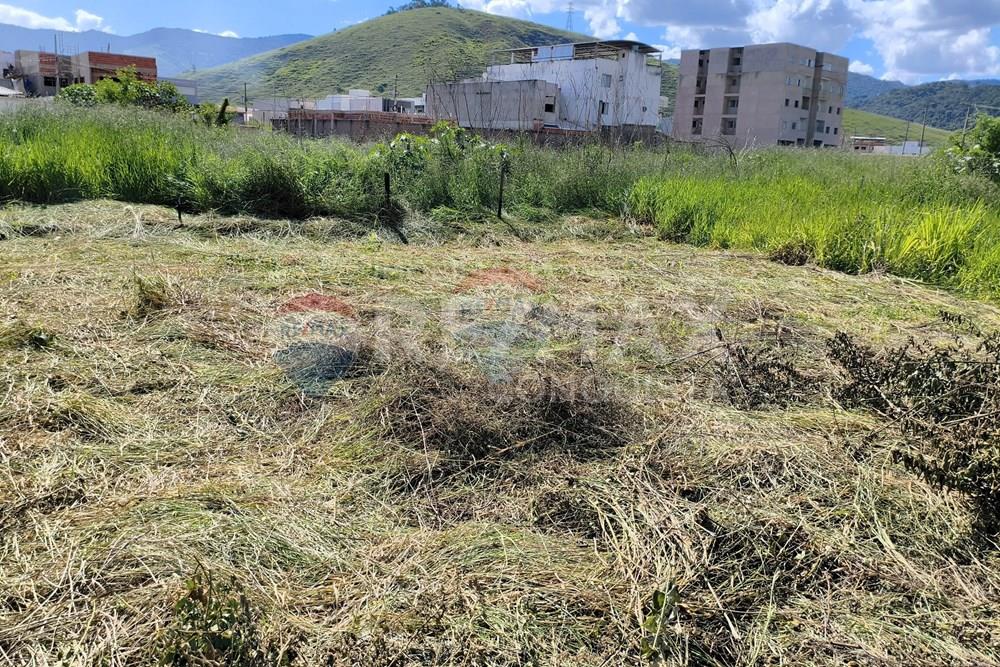 Terreno - Venda - Ipanema , Minas Gerais - 1_image_1_watermark_seg._09032026_105038.jpg - 870451001-167