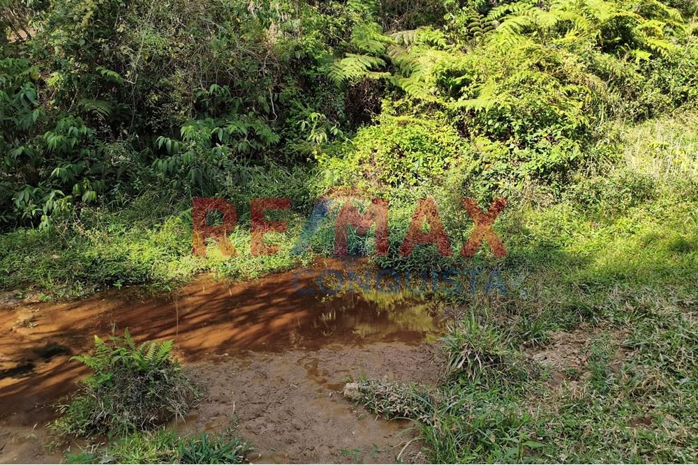 Chácara / Sítio / Fazenda - Venda - Ipanema , Minas Gerais - 1_image_1_watermark_seg._15092025_150519.jpg - 870451013-72