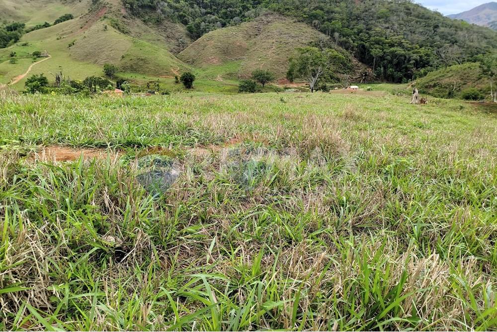 Chácara / Sítio / Fazenda - Venda - Ipanema , Minas Gerais - 4_image_4_watermark_qui._20112025_124246.jpg - 870451013-80
