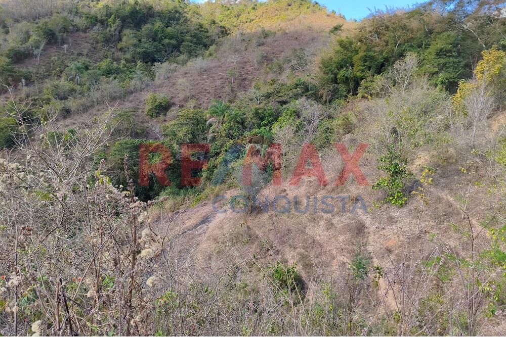 Chácara / Sítio / Fazenda - Venda - Ipanema , Minas Gerais - 2_image_2_watermark_seg._15092025_150754.jpg - 870451013-72