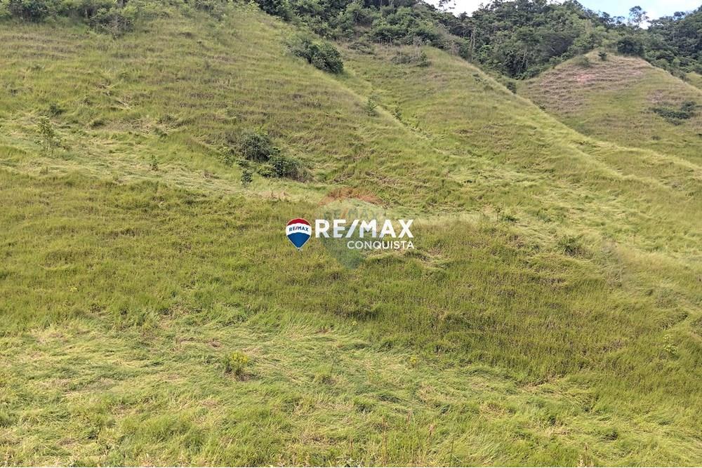 Chácara / Sítio / Fazenda - Venda - Conceição de Ipanema , Minas Gerais - 9_image_9_watermark_sáb._12042025_141702.jpg - 870451013-61