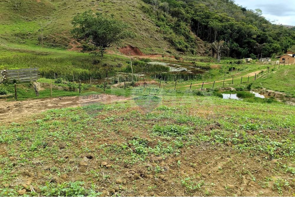 Chácara / Sítio / Fazenda - Venda - Ipanema , Minas Gerais - 6_image_6_watermark_qui._20112025_124339.jpg - 870451013-80