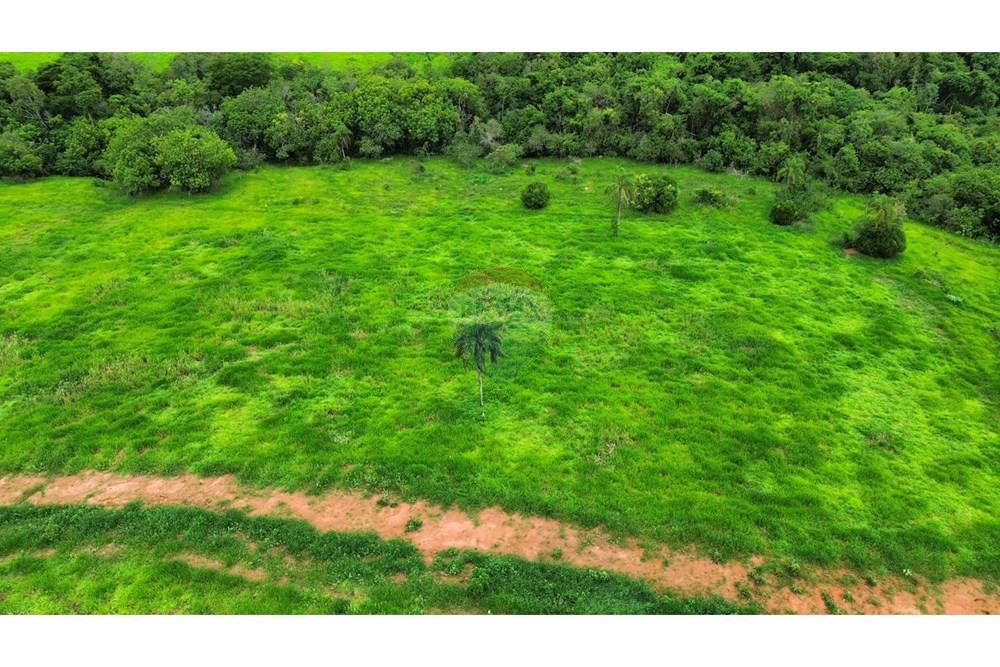 Chácara / Sítio / Fazenda - Venda - São Sebastião do Paraíso , Minas Gerais - SITIO ROMULO BICEGO (11).jpeg - 870811007-131