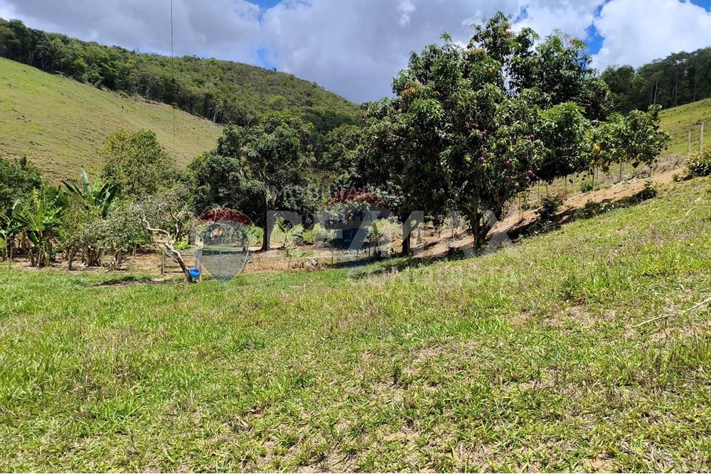 Chácara / Sítio / Fazenda - Venda - Taparuba , Minas Gerais - 4_image_4_watermark_sex._19122025_102307.jpg - 870451001-158