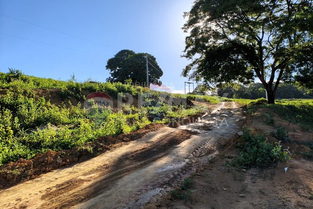 Terreno - Venda - Ipanema , Minas Gerais - 2_image_2_watermark_dom._11012026_132018.jpg - 870451001-161