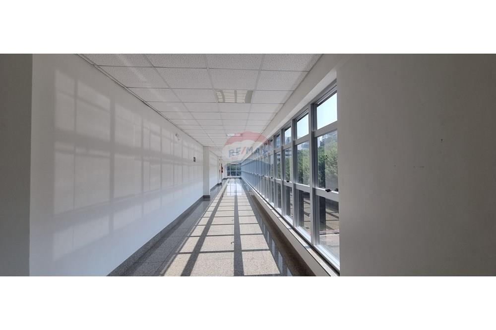 Cj. Comercial/ Sala - Alugar - Belo Horizonte , Minas Gerais - 20240904_093734.jpg - 870251062-80