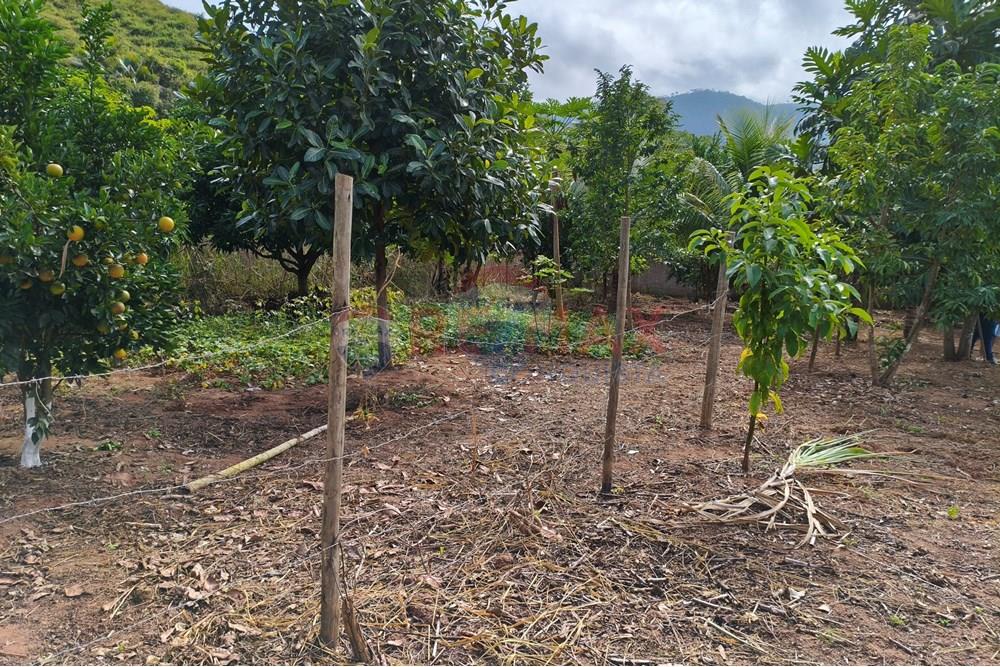 Chácara / Sítio / Fazenda - Venda - Ipanema , Minas Gerais - 2_image_2_watermark_sáb._21062025_165405.jpg - 870451013-66