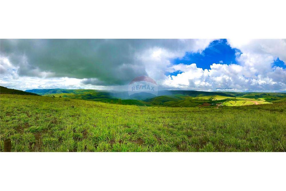 Fazenda - Venda - São Roque de Minas , Minas Gerais - 14 - 870431039-47