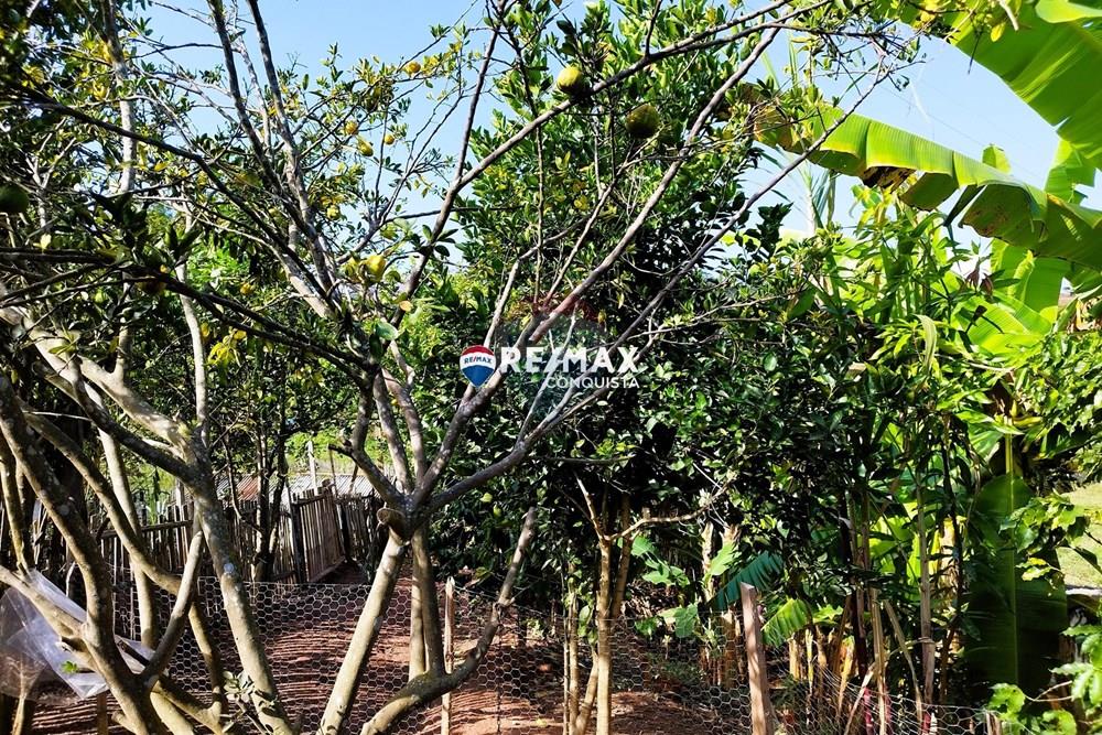 Chácara / Sítio / Fazenda - Venda - Ipanema , Minas Gerais - 7_pro-2V6Hqwf5_watermark_dom._23062024_093354.jpg - 870451004-116