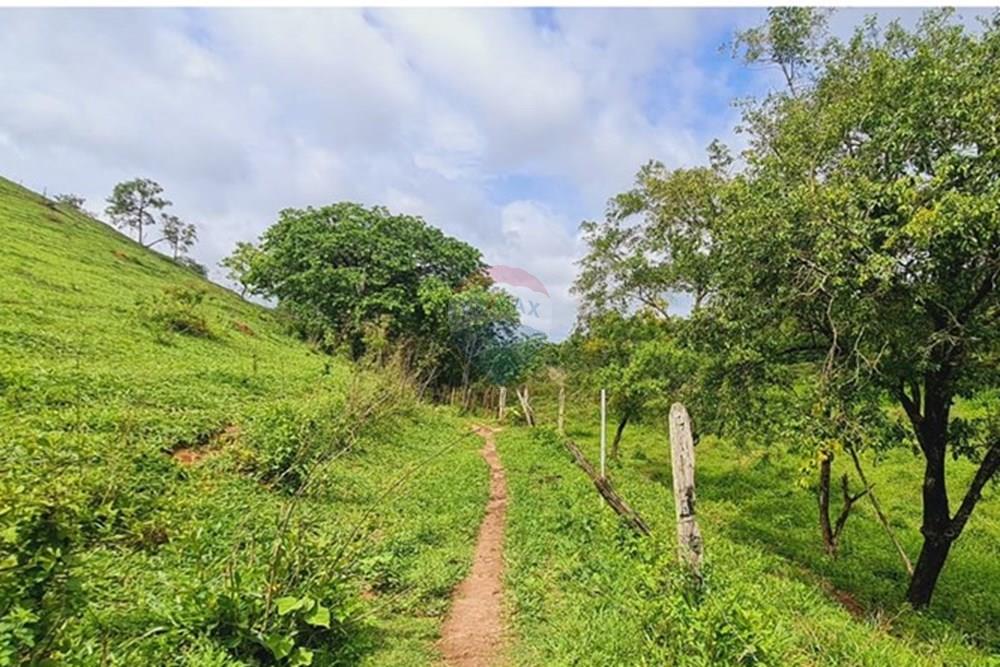 Fazenda - Venda - Pedro Leopoldo , Minas Gerais - WhatsApp Image 2025-12-11 at 15.20.34 (2).jpeg - 870411117-34