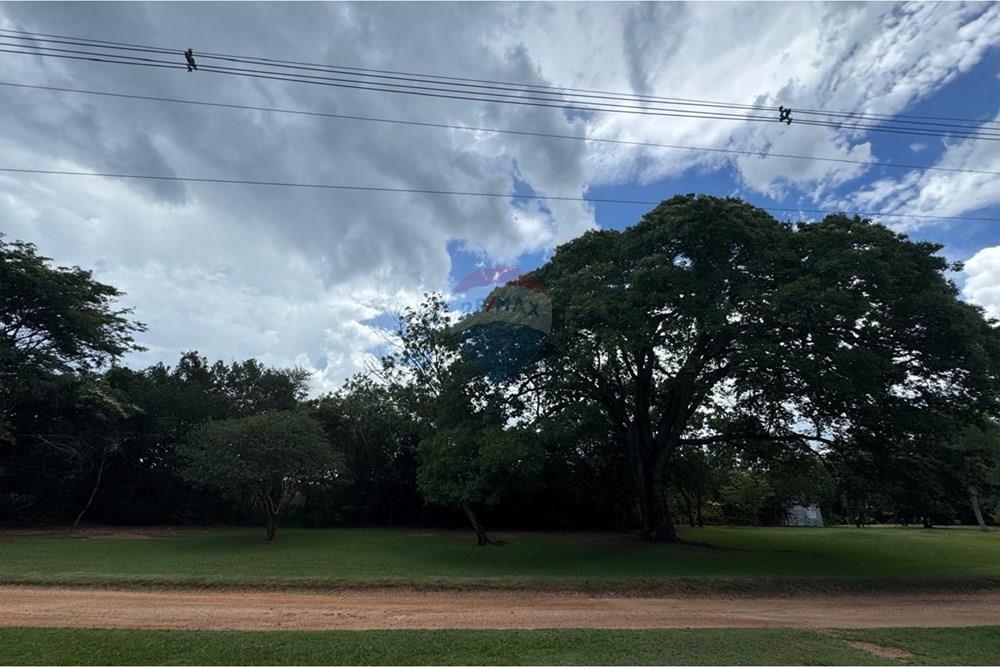 Terreno - Venda - Delfinópolis , Minas Gerais - WhatsApp Image 2026-01-28 at 16.09.15 (1).jpeg - 870721005-34