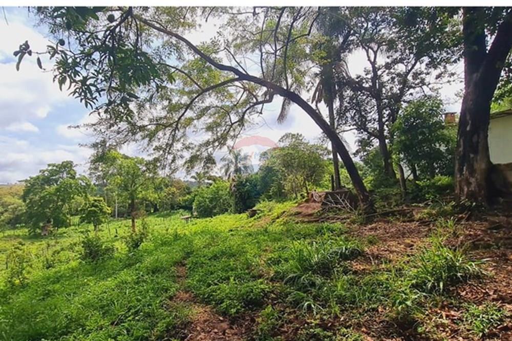 Fazenda - Venda - Pedro Leopoldo , Minas Gerais - WhatsApp Image 2025-12-11 at 16.48.45.jpeg - 870411117-34