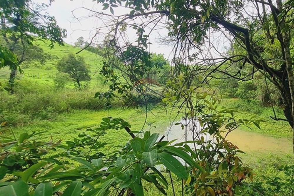 Fazenda - Venda - Pedro Leopoldo , Minas Gerais - WhatsApp Image 2025-12-11 at 16.48.52.jpeg - 870411117-34