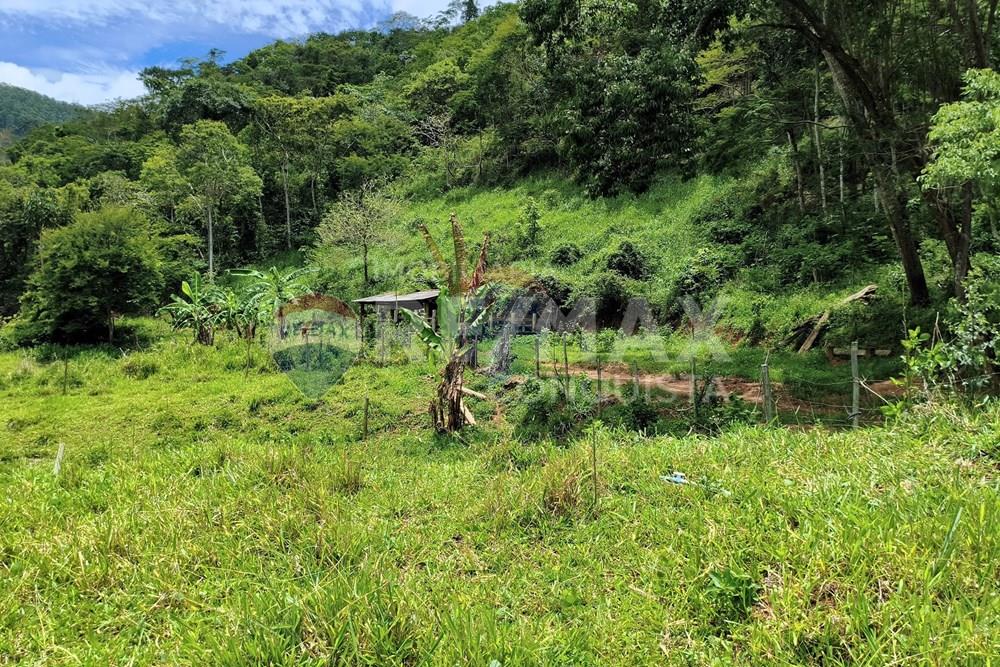 Chácara / Sítio / Fazenda - Venda - Taparuba , Minas Gerais - 5_image_5_watermark_ter._17022026_130557.jpg - 870451001-165