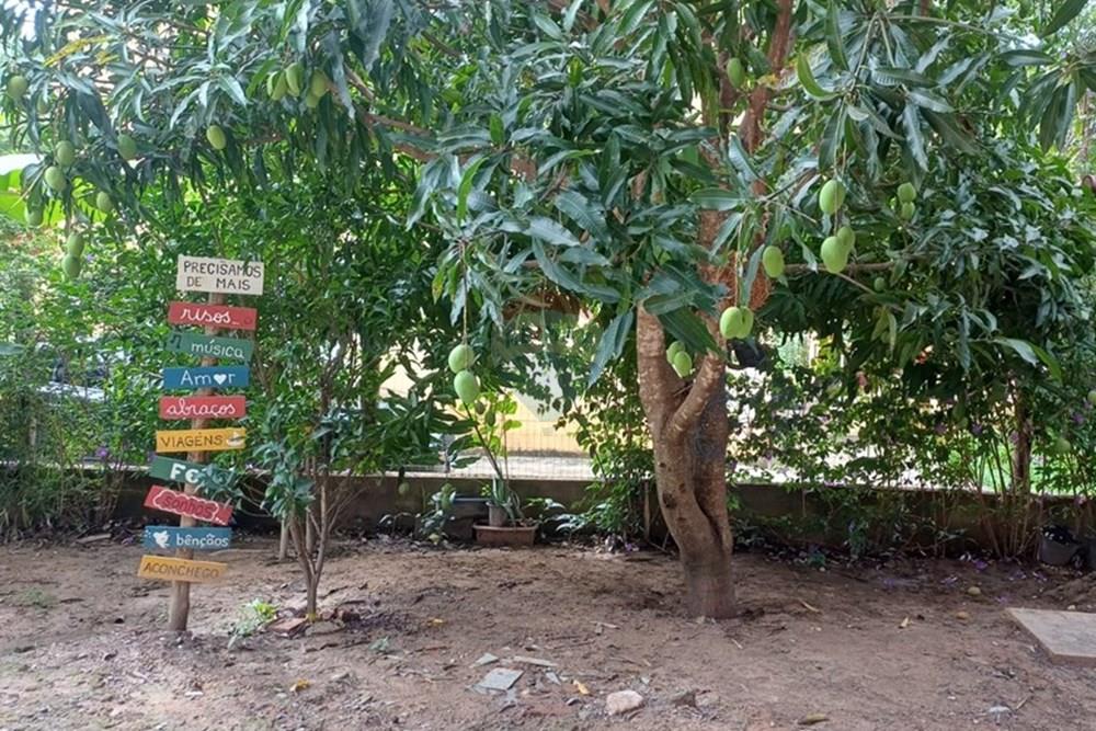 Casa - Venda - Santana do Riacho , Minas Gerais - WhatsApp Image 2025-12-10 at 19.31.19.jpeg - 870351087-1