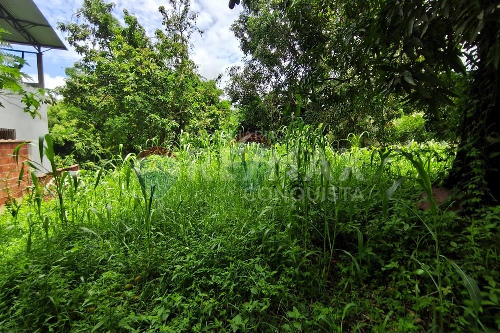 Terreno - Venda - Ipanema , Minas Gerais - 7_image_7_watermark_sex._19122025_100452.jpg - 870451004-112