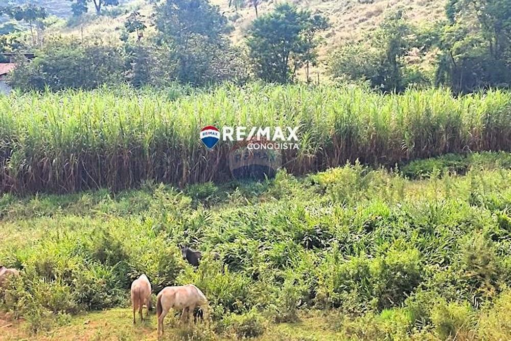 Chácara / Sítio / Fazenda - Venda - Ipanema , Minas Gerais - 7_IMG_20240515_091856_watermark_dom._23062024_100709.jpg - 870451001-121