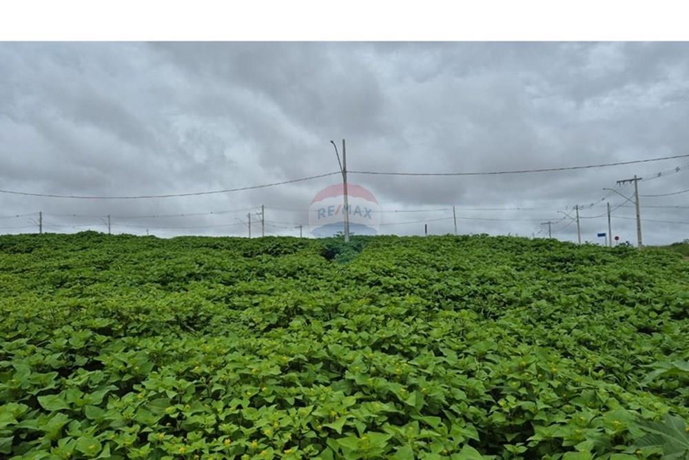 Terreno - Venda - Araxá , Minas Gerais - RODRIGO 7.jpeg - 870431054-10