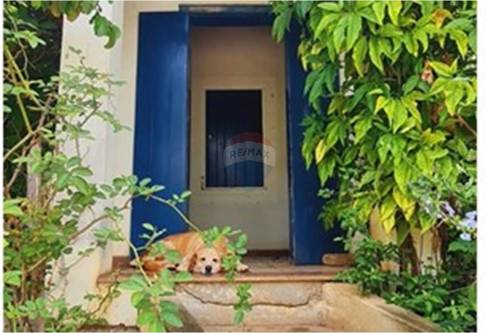 Fazenda - Venda - Pedro Leopoldo , Minas Gerais - 1fa49c09-b9c8-491f-b7eb-cef55572ef21.jpeg - 870411117-34