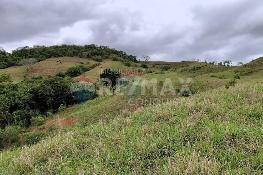 Chácara / Sítio / Fazenda - Venda - Ipanema , Minas Gerais - 1_image_1_watermark_qui._20112025_124245.jpg - 870451013-80