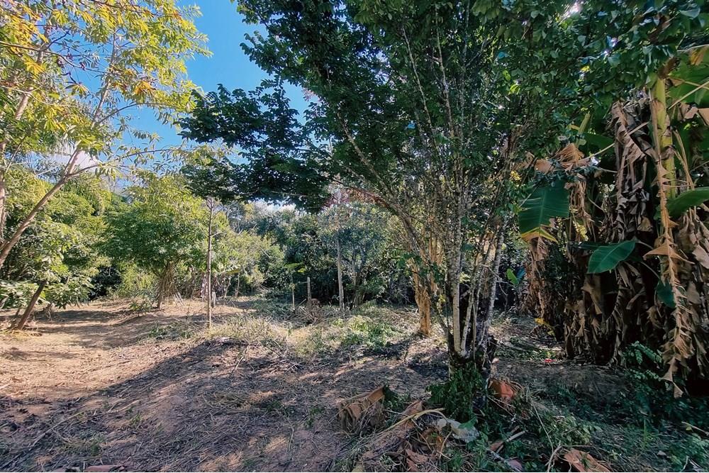 Chácara / Sítio / Fazenda - Venda - São Sebastião do Paraíso , Minas Gerais - 12.jpeg - 870601029-108