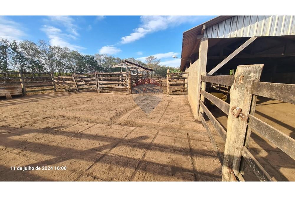 Fazenda - Venda - Uberaba , Minas Gerais - (6).jpeg - 870291025-116