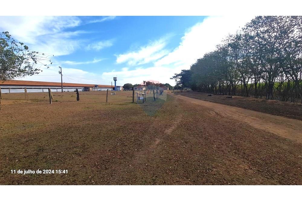 Fazenda - Venda - Uberaba , Minas Gerais - (24).jpeg - 870291025-116