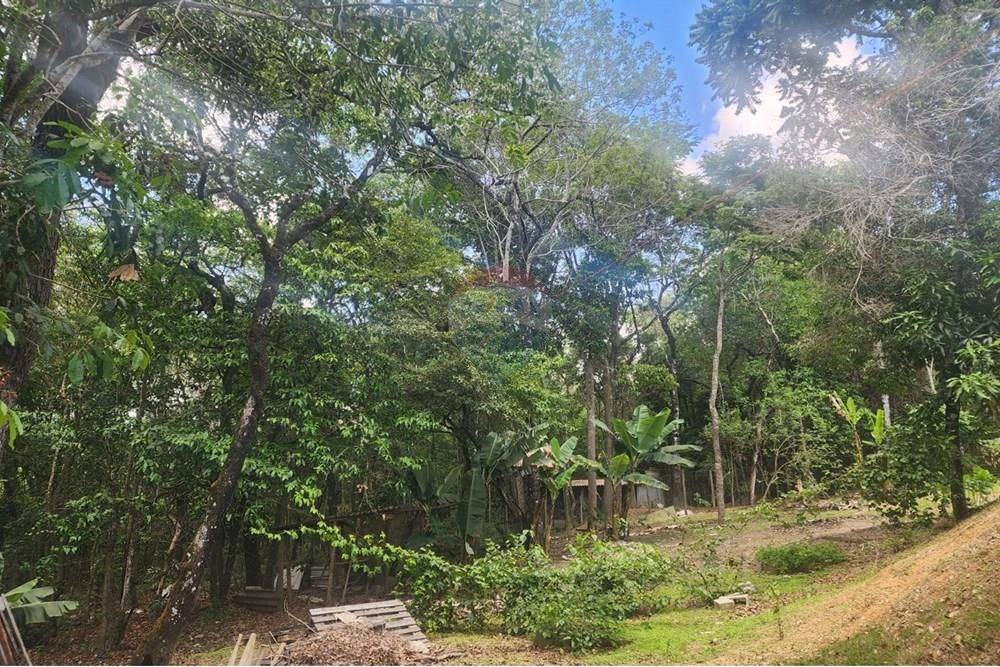 Chácara / Sítio / Fazenda - Venda - Contagem , Minas Gerais - FOTO72.jpg - 870241112-48