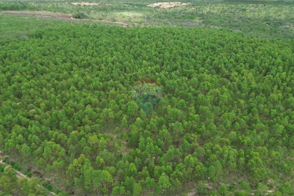 Fazenda - Venda - Inimutaba , Minas Gerais - Imagem instantânea 5.jpg - 870411101-21