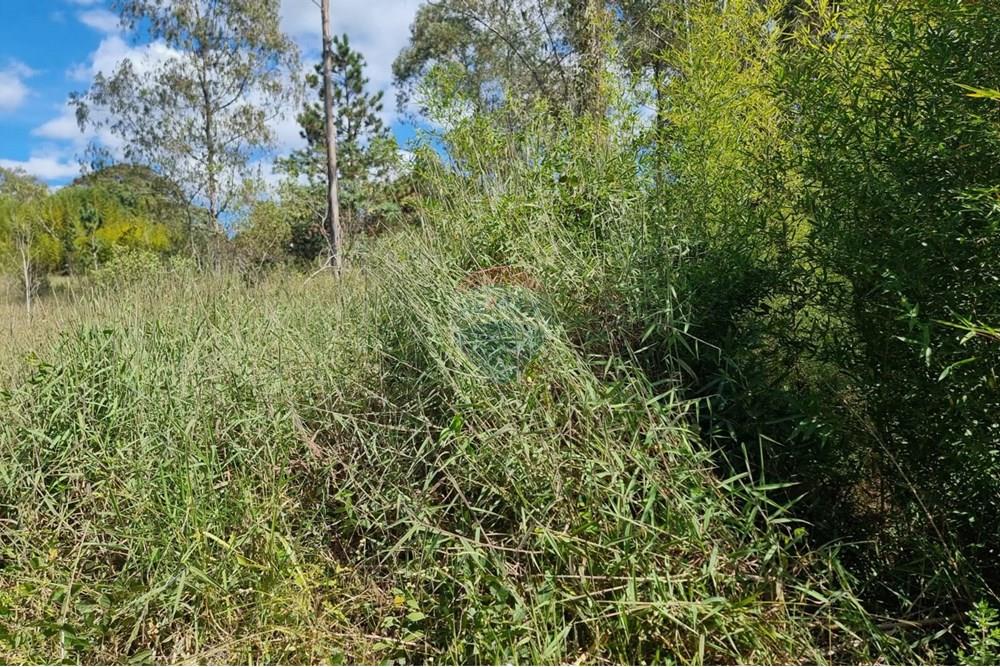 Terreno - Venda - Nova Lima , Minas Gerais - 8.jpeg - 870421084-16