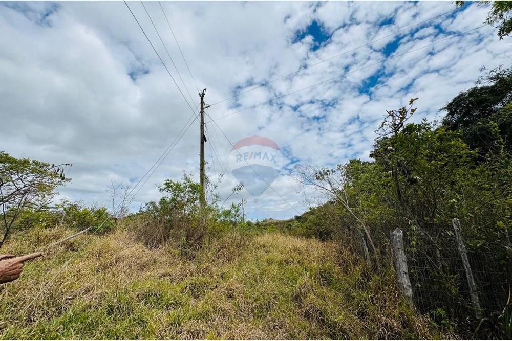 Chácara / Sítio / Fazenda - Venda - Caeté , Minas Gerais - IMG-20251030-WA0328.jpg - 870421116-90