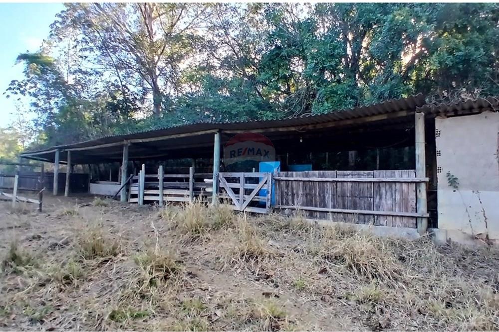 Chácara / Sítio / Fazenda - Venda - Matozinhos , Minas Gerais - 20250903_160624.jpg - 870411101-11