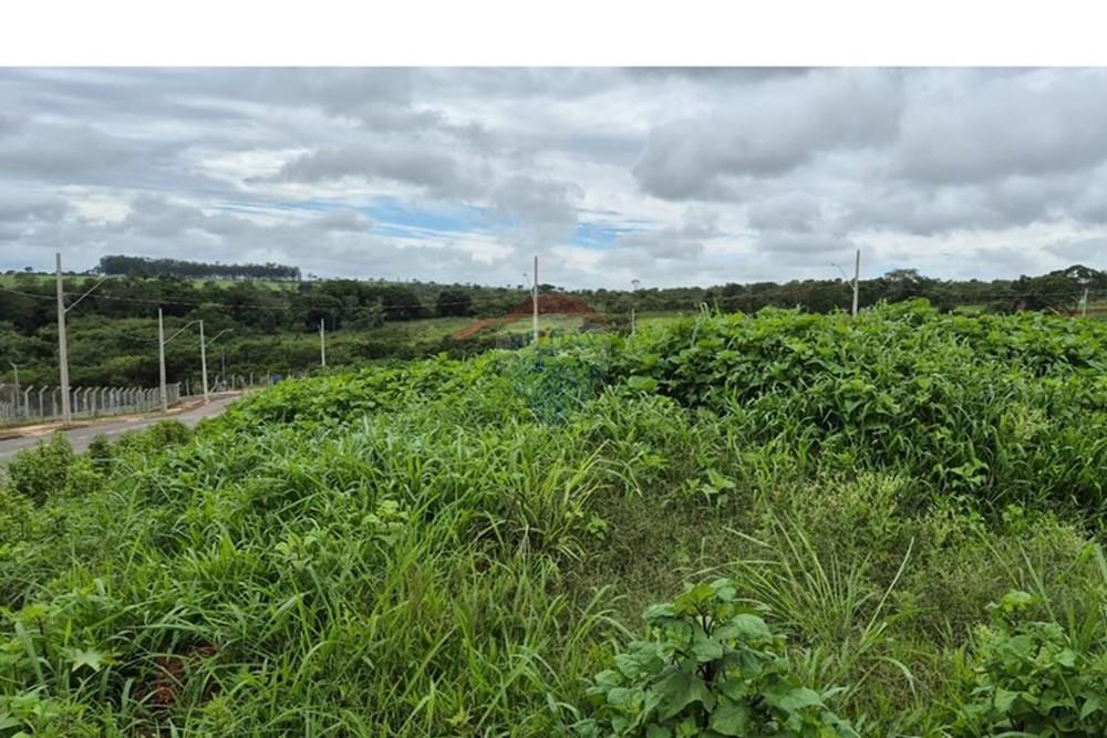 Terreno - Venda - Araxá , Minas Gerais - RODRIGO 3.jpeg - 870431054-10