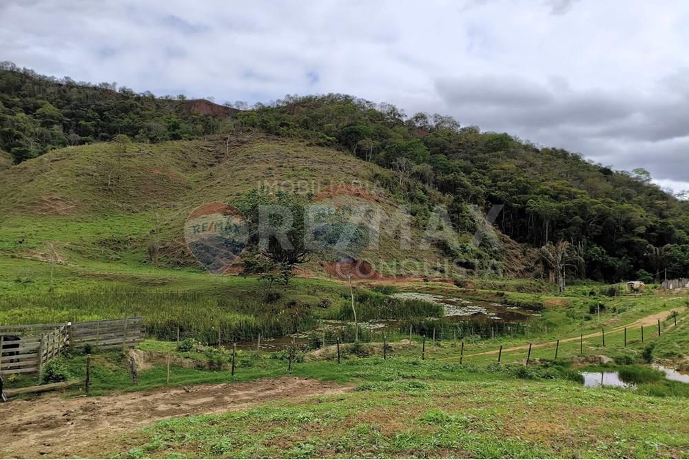 Chácara / Sítio / Fazenda - Venda - Ipanema , Minas Gerais - 1_image_1_watermark_qui._20112025_124419.jpg - 870451013-80
