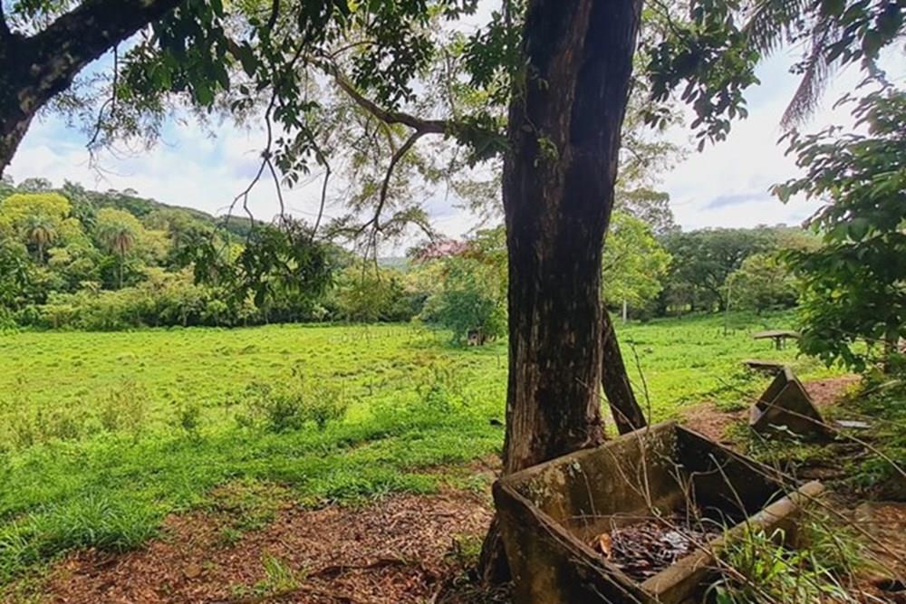 Fazenda - Venda - Pedro Leopoldo , Minas Gerais - WhatsApp Image 2025-12-11 at 15.20.32 (1).jpeg - 870411117-34