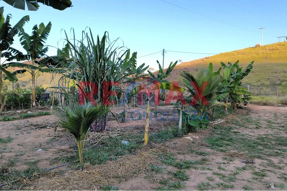 Chácara / Sítio / Fazenda - Venda - Conceição de Ipanema , Minas Gerais - 5_image_5_watermark_seg._01092025_205143.jpg - 870451001-144