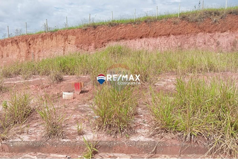 Terreno - Venda - Ipanema , Minas Gerais - WhatsApp Image 2025-05-12 at 16.17.54(1).jpeg - 870451001-130