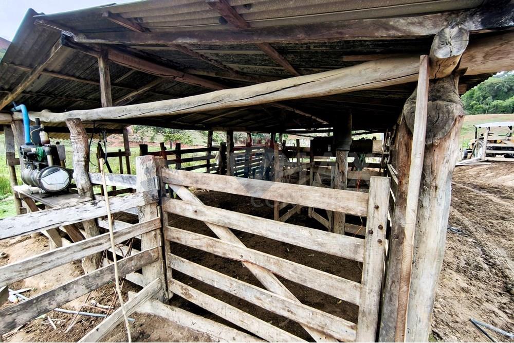 Chácara / Sítio / Fazenda - Venda - Ipanema , Minas Gerais - 6_image_6_watermark_qui._20112025_124903.jpg - 870451013-80