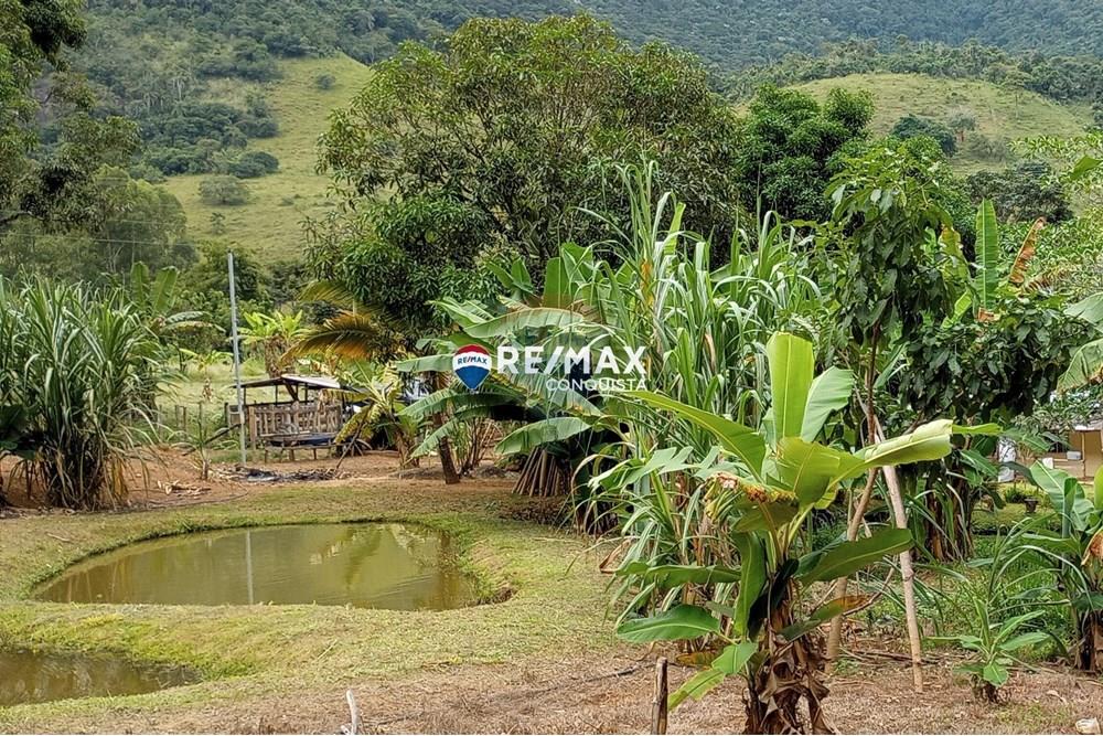 Chácara / Sítio / Fazenda - Venda - Ipanema , Minas Gerais - 1_image_1_watermark_seg._12052025_100310.jpg - 870451004-100